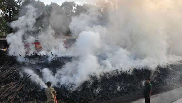 उज्जैन-पीडब्ल्यूडी कॉलोनी में अलसुबह लगी आग – 4 घंटे मशक्कत के बाद आग पर पाया काबू