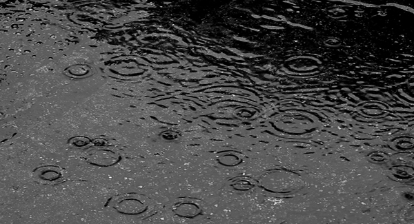 रतलाम सहित सात जिलों में भारी बारिश की संभावना, मौसम विभाग ने  जारी की चेतावनी