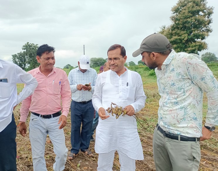 रतलाम: ग्रामीण विधायक ने खराब फसलों का लिया जायजा, राजस्व और कृषि विभाग की टीम गठित कर एक-एक खेत का सर्वे करने की कही बात