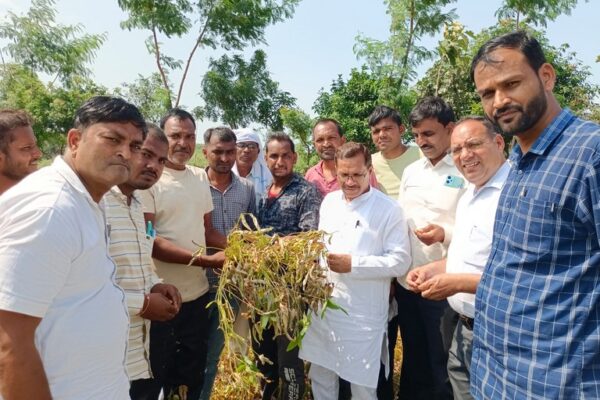 रतलाम: अल्प वर्षा से फसलों में हुए नुकसान पर विधायक मकवाना की पहल, मुख्यमंत्री को लिखा पत्र, किसानों को राहत देने की मांग
