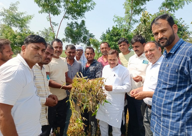 रतलाम: अल्प वर्षा से फसलों में हुए नुकसान पर विधायक मकवाना की पहल, मुख्यमंत्री को लिखा पत्र, किसानों को राहत देने की मांग