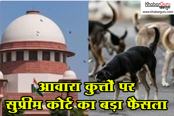 आवारा कुत्तों पर सुप्रीम कोर्ट का बड़ा फैसला : पकड़े गए कुत्ते नसबंदी कर छोड़े जाएंगे, बीमार और आक्रामक कुत्तों को ही शेल्टर होम में रखा जाएगा, सार्वजनिक स्थानों पर कुत्तों को खाना खिलाने पर मनाही