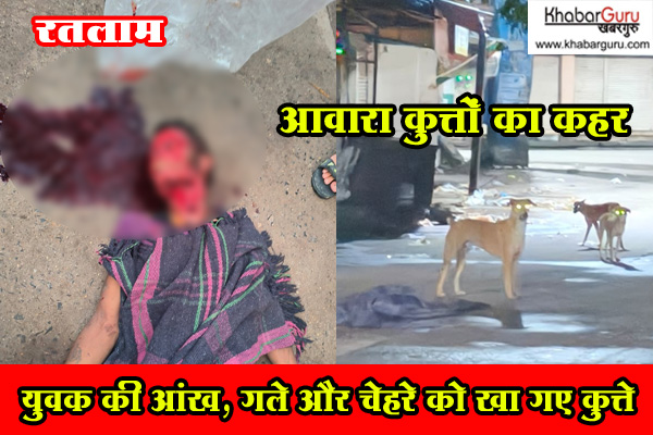 रतलाम : युवक का चेहरा, आंखे और गला खा गए आवारा कुत्ते, पीएम के लिए शव को मेडिकल कॉलेज भिजवाया