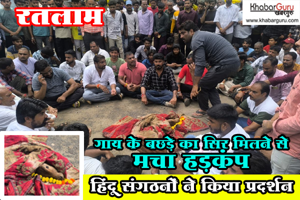 रतलाम : गाय के बछड़े का सिर मिलने से मचा हड़कंप, हिंदू संगठनों ने किया प्रदर्शन, देखे वीडियो